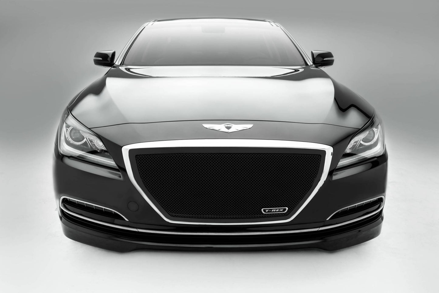 T-REX Grilles 51499 Black Mild Steel Small Mesh Grille Fits 2015-2015 Hyundai Genesis Sedan