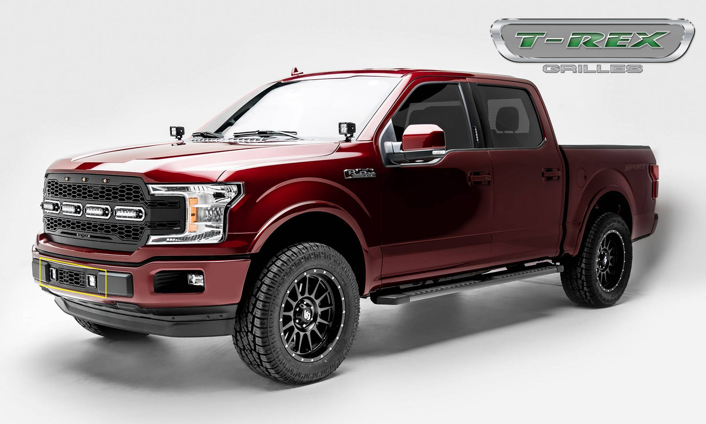 T-REX Grilles 6525751 Black Mild Steel Laser Cut Pattern Bumper Grille Fits 2018-2020 Ford F-150 Limited F-150 Lariat