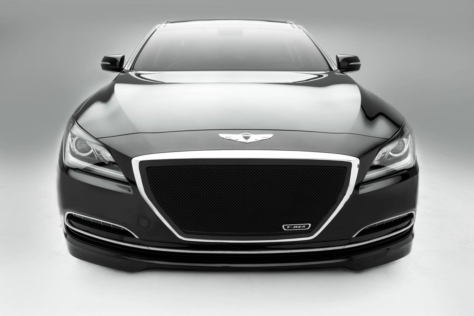 T-REX Grilles 51499 Black Mild Steel Small Mesh Grille Fits 2015-2015 Hyundai Genesis Sedan