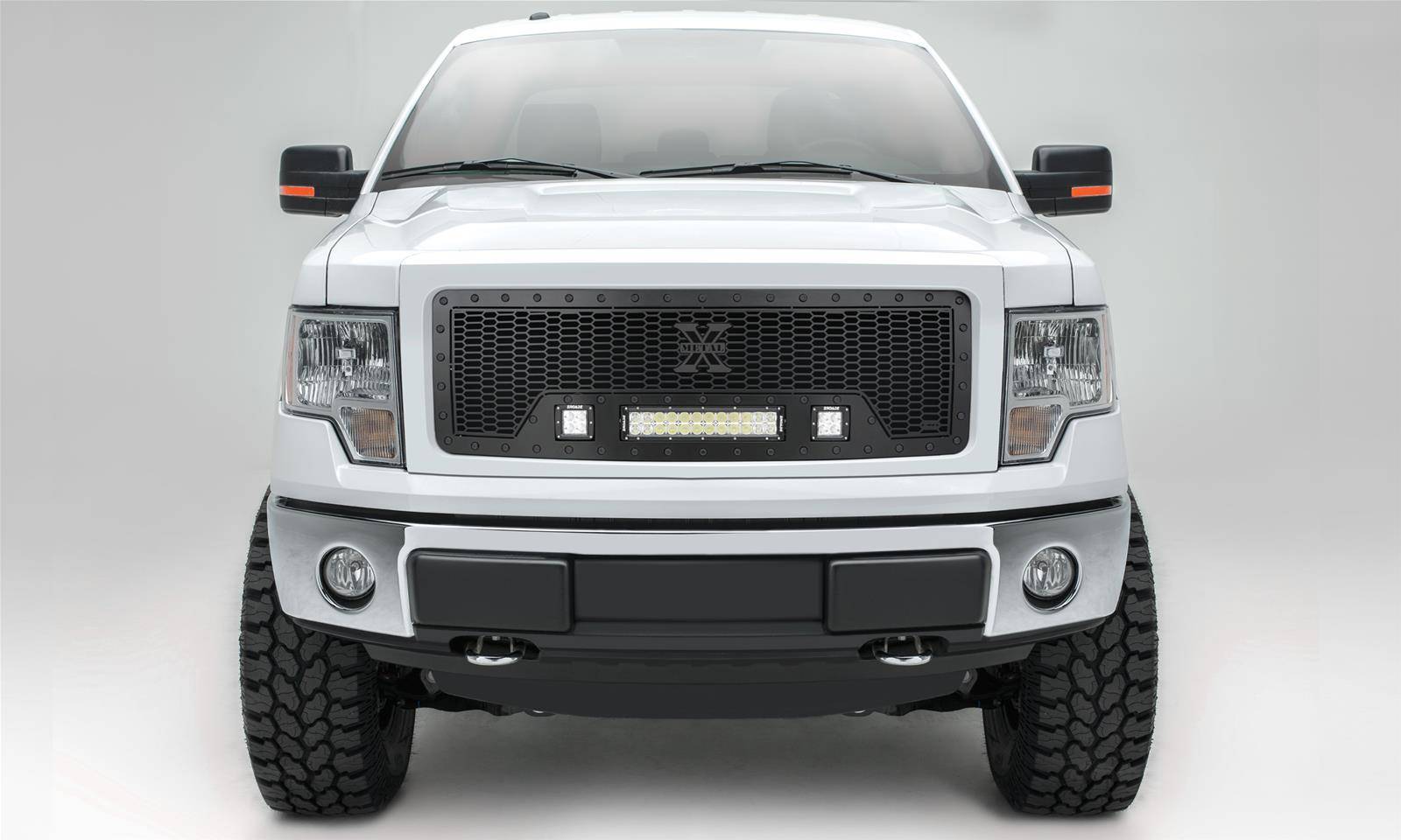 T-REX Grilles 7315681-BR Black Mild Steel Laser Cut Pattern Grille Fits 2009-2012 Ford F-150