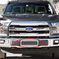 APS GR06GFC13T Lower Bumper Mesh Grille Fits 2015-2017 Ford F-150